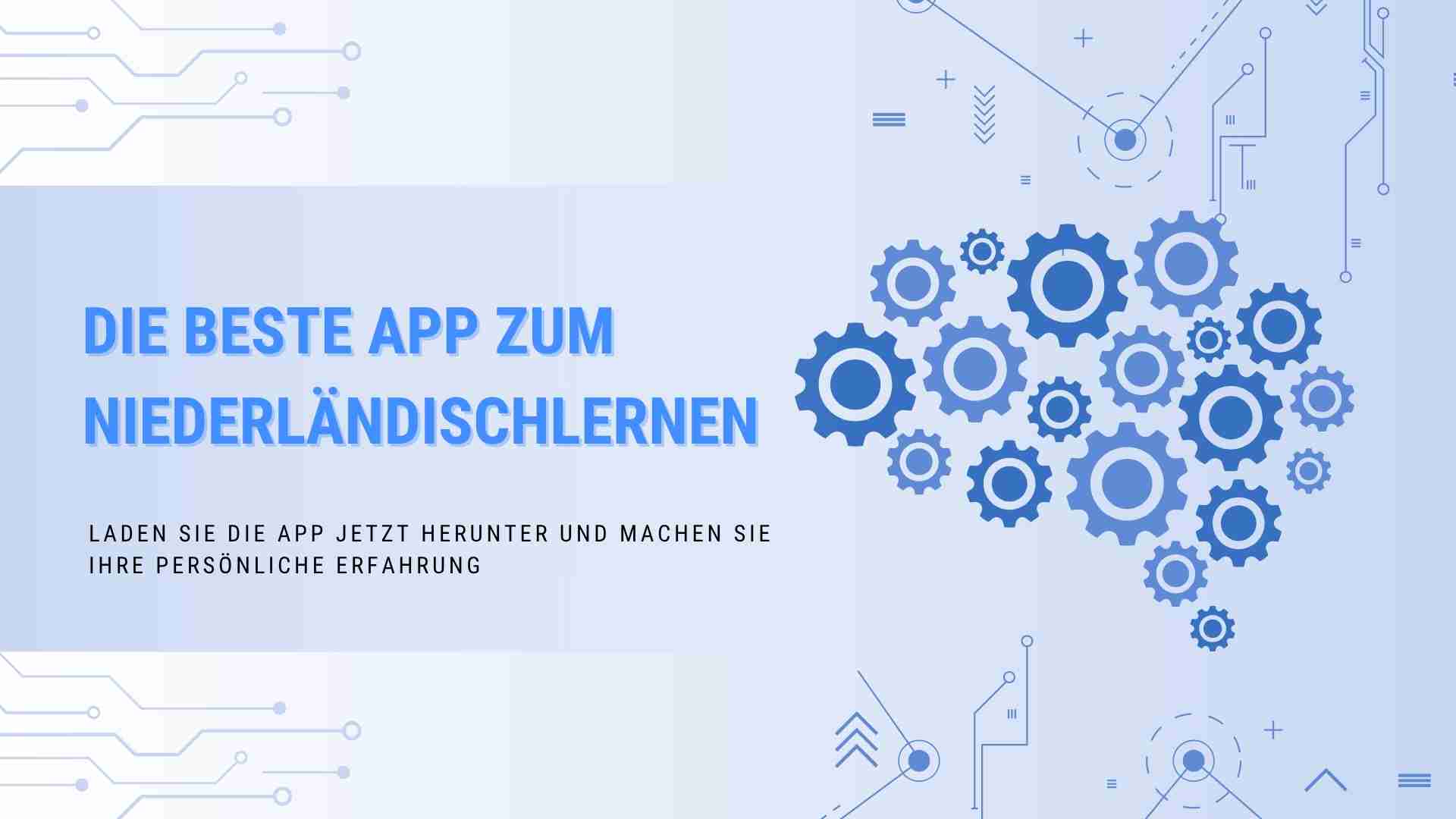 Die beste App zum Niederländischlernen 2